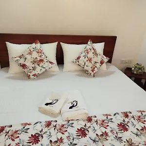 https://elzangi.negombohotels.net